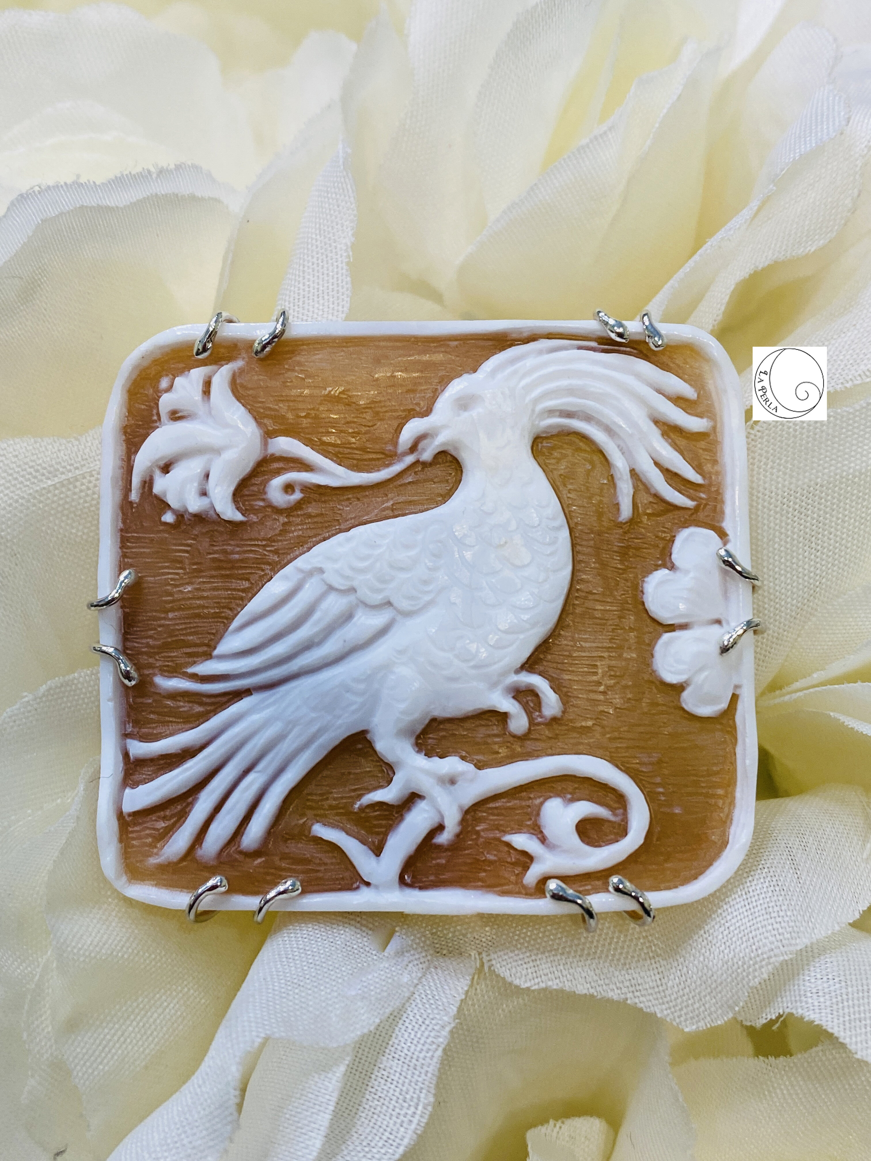 Collezione "Antiche Sete Lucchesi" Collezione "Antiche Sete Lucchesi"