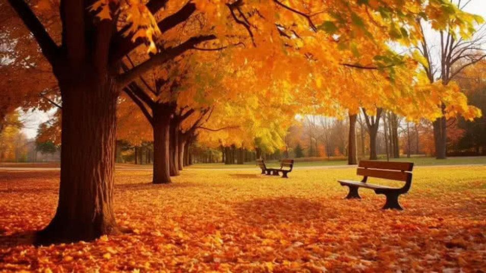 pngtree-autumn-image_2942310.jpeg