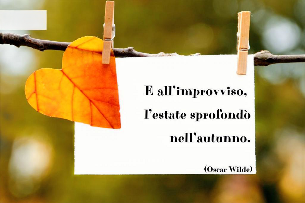 23e48adf-e92d-47e4-aaac-662f4d852231