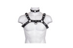 harness-bust-in-real-python-col-nero