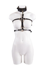 harness-in-real-snake-col-nero