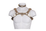 harness-bust-in-real-python