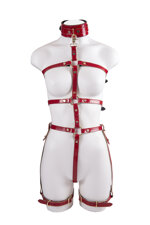 harness-in-real-snake-colrosso