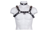harness-bust-in-real-python-col-nero