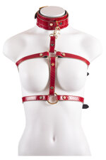harness-in-real-snake-colrosso
