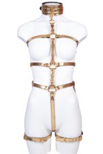 harness-vero-pitone-colore-oro-laminato