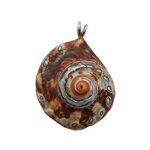 ciondolo-con-conchiglia-naturale