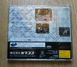 street-fighter-real-battle-on-film-usato