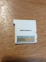 nintendogs-gatti-toy-barboncino-nuovi-amici