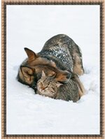 plaid-flanella-lupo-in-stampa-digitale-140x-180-cm