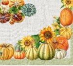 tovaglia-in-cotone-dis-zucche-in-stampa-digitale