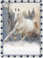 plaid-flanella-cavallo-in-stampa-digitale-140-x-180-cm