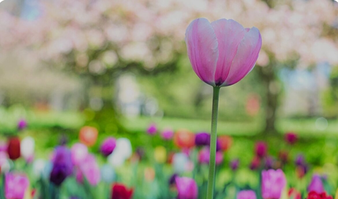 20240501_135316.jpeg 20240501_135316.jpeg