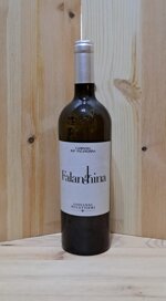 giovanni-molettieri-campania-falanghina-igp