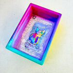 vassoiettosvuotatasche-con-gatto