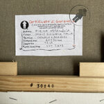 cactus-dirigibile-italia