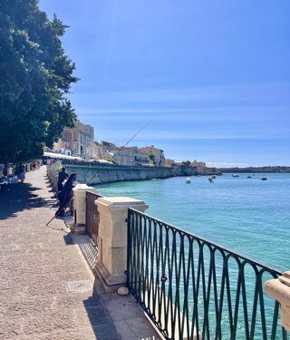 37031_0cbbb599246fde1a1f1a84514be62683d373ecb1