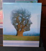 tree-of-life-pink-floyd