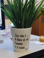 vasetto-in-ceramica-con-erbetta-sintetica