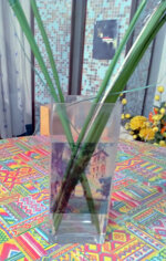 vaso-pieve-san-giovanni