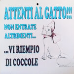 attenti-al-gatto