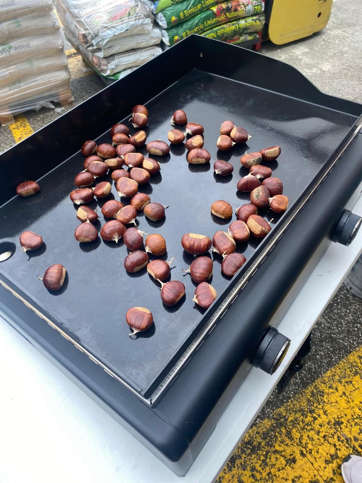 c4ac98ce-001e-42dd-9de4-dd7a2ec7971f.jpg c4ac98ce-001e-42dd-9de4-dd7a2ec7971f.jpg