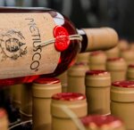 metiusco-rosato-palama