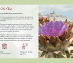 nu-gin-london-dry-gin-70-cl-gin-al-carciofo-nero