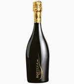 stefano-bottega-millesimato-brut-2024