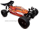 110-scale-4wd-electric-brushed-buggy