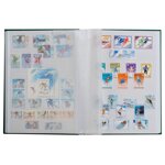 classificatore-9-listelli-pergamino-senza-divisorio-230x305-mm-fondo-bianco-vari-colori