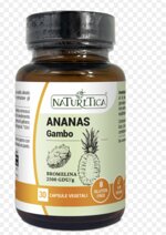 ananas-gambo