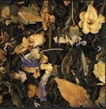 il-segreto-dei-medici