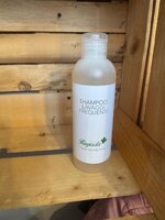 shampoo-per-uso-frequente