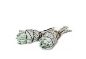 mazzetto-salvia-bianca