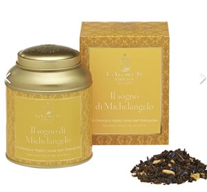 il-sogno-di-michelangelo