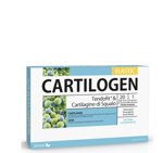 cartilogen-elastic