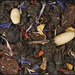 il-sogno-di-michelangelo