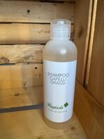 shampoo-capelli-grassi