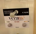 orecchini-ipoallergenici-verame