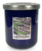 lavanda-e-salvia