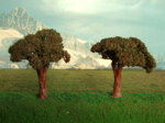 alberi-di-ulivi-per-modellismo-pz2-hcm-8-ho-172-2015