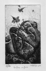 piero-cesaroni-di-fiore-in-fiore