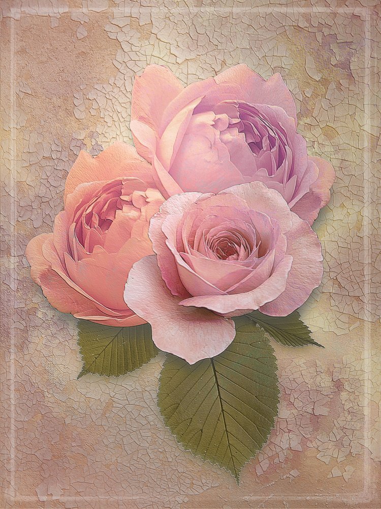 2ce1fd64-d515-4cfc-84f3-330c59bed0d4.jpg