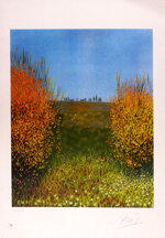 franco-aloisi-campo-di-ginestre