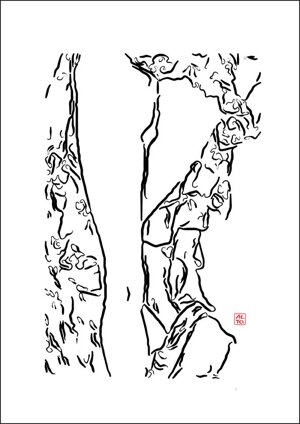 girls-on-the-beach-naked-towards-the-beach