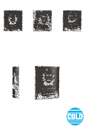 tazza-magica-harry-potter-sirius-black