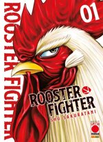 rooster-fighter