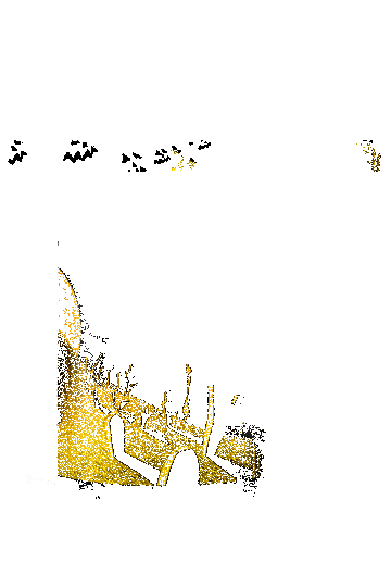 tazza-magica-the-nightmare-before-christmas-scene