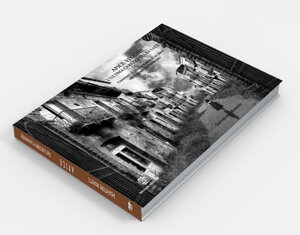 apice-vecchia-lultima-carezza-della-luce